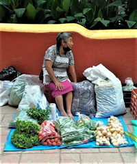 Vegetable Seller