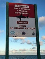 Risk Of Shark Attack