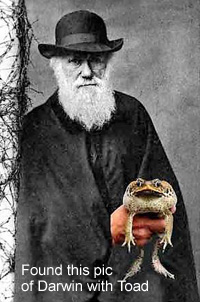 Darwin wirh a Frog