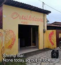 Shrimp Bar