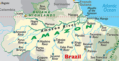 The Amazon Basin