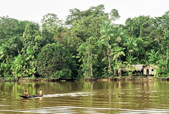 The Amazon