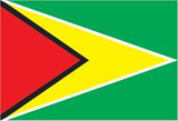 Guyana's National Flag