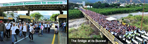 The Busy Bridge