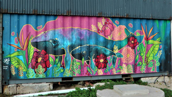 Street Art: Whale